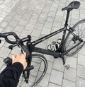 엘파마 레이다 R5800